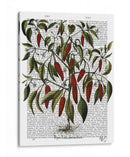 Peppers 3 - Fab Funky | Cuadro decorativo de Canvas Lab