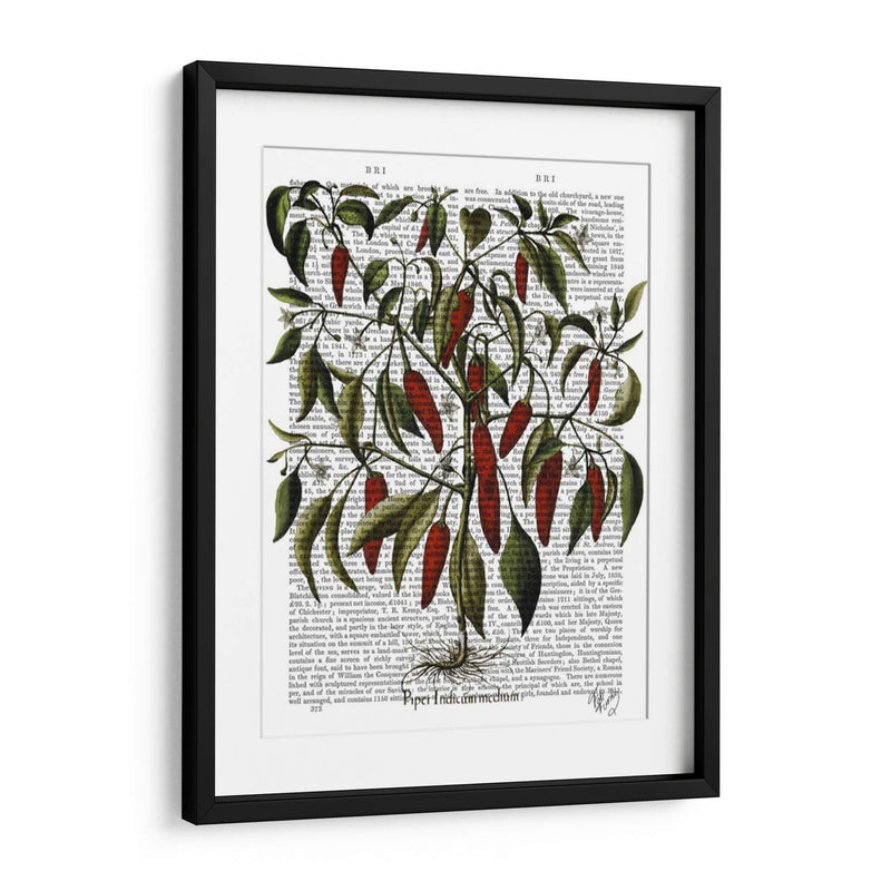 Peppers 3 - Fab Funky | Cuadro decorativo de Canvas Lab