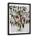 Peppers 3 - Fab Funky | Cuadro decorativo de Canvas Lab