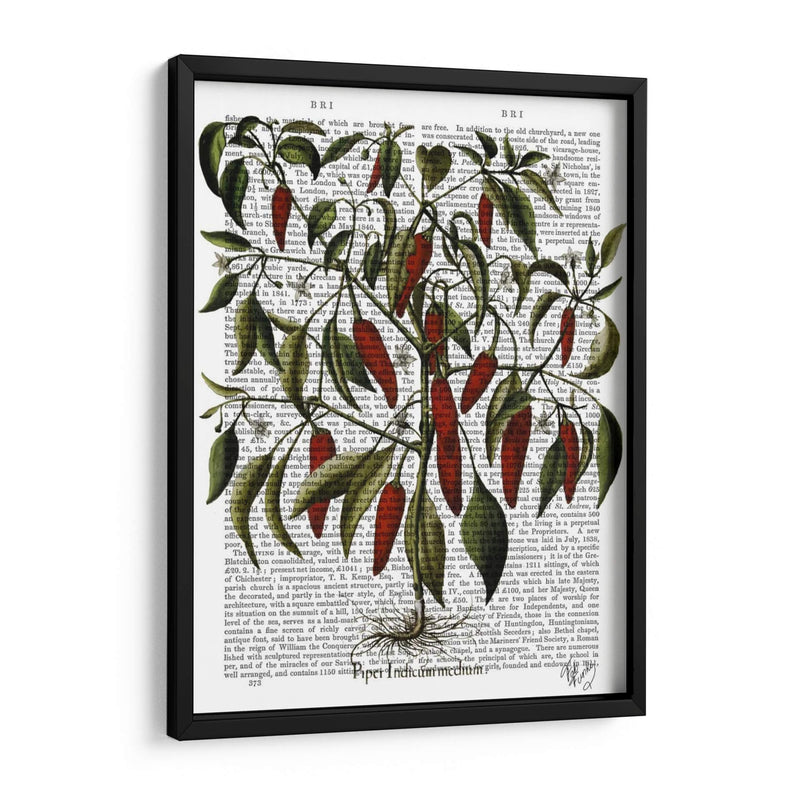 Peppers 3 - Fab Funky | Cuadro decorativo de Canvas Lab