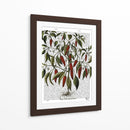 Peppers 3 - Fab Funky | Cuadro decorativo de Canvas Lab