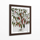 Peppers 3 - Fab Funky | Cuadro decorativo de Canvas Lab
