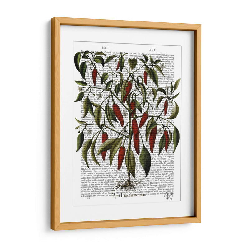 Peppers 3 - Fab Funky | Cuadro decorativo de Canvas Lab