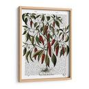 Peppers 3 - Fab Funky | Cuadro decorativo de Canvas Lab