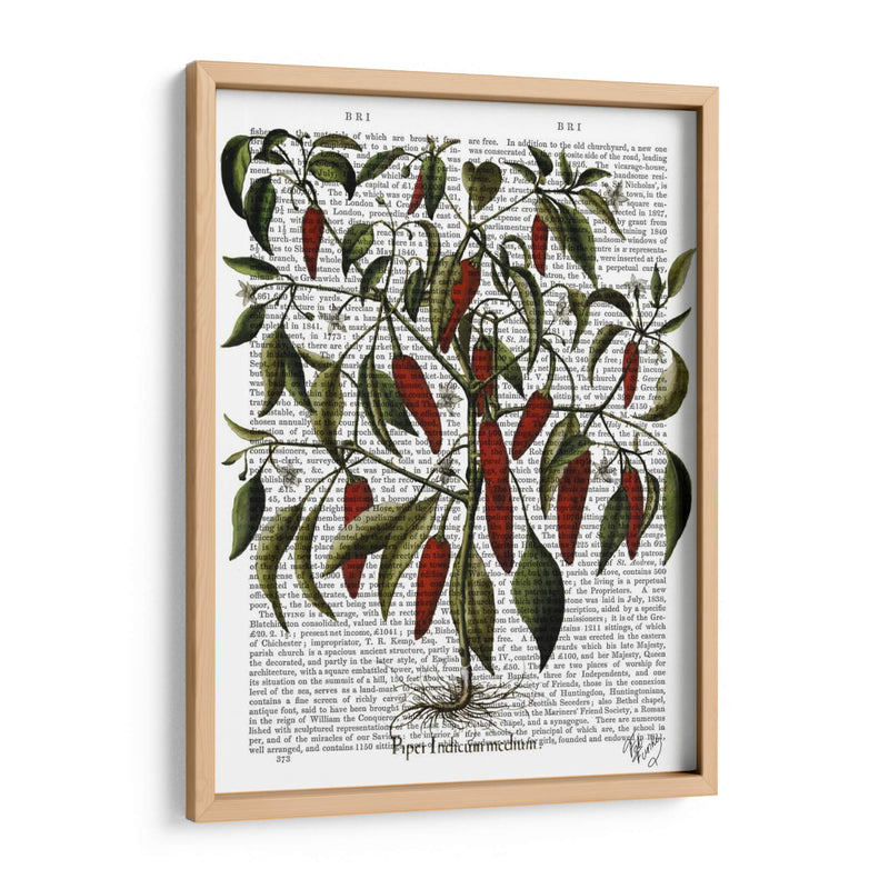 Peppers 3 - Fab Funky | Cuadro decorativo de Canvas Lab