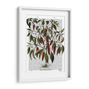 Peppers 3 - Fab Funky | Cuadro decorativo de Canvas Lab