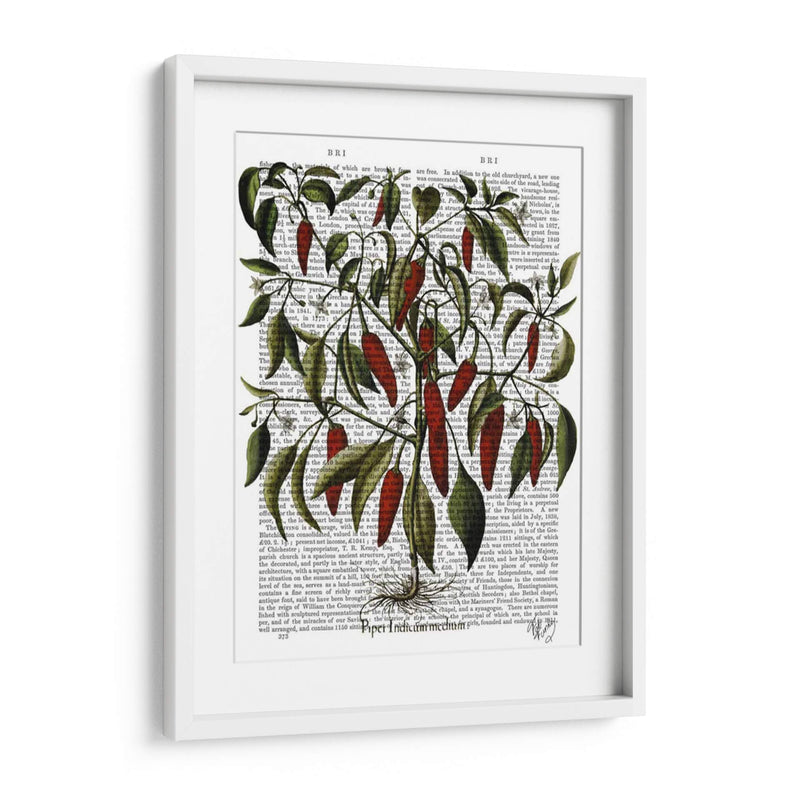 Peppers 3 - Fab Funky | Cuadro decorativo de Canvas Lab
