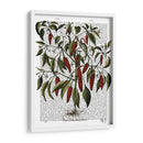 Peppers 3 - Fab Funky | Cuadro decorativo de Canvas Lab