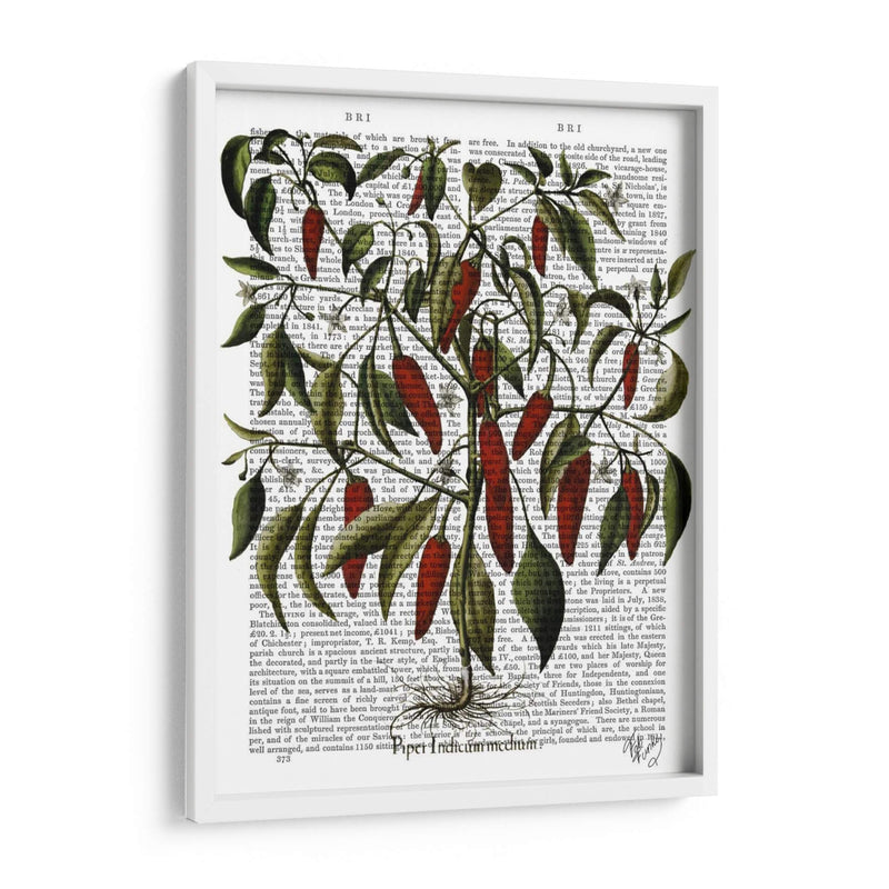 Peppers 3 - Fab Funky | Cuadro decorativo de Canvas Lab