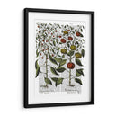 Peppers 4 - Fab Funky | Cuadro decorativo de Canvas Lab