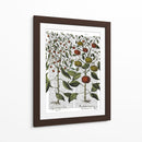 Peppers 4 - Fab Funky | Cuadro decorativo de Canvas Lab