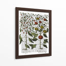 Peppers 4 - Fab Funky | Cuadro decorativo de Canvas Lab