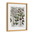 Peppers 4 - Fab Funky | Cuadro decorativo de Canvas Lab