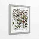 Peppers 4 - Fab Funky | Cuadro decorativo de Canvas Lab