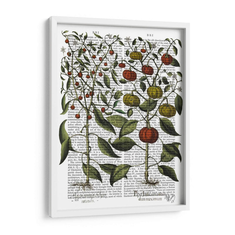 Peppers 4 - Fab Funky | Cuadro decorativo de Canvas Lab