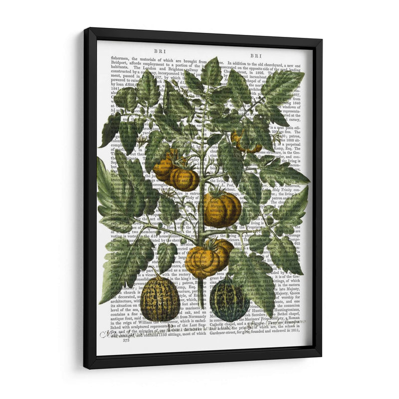 Peppers 5 - Fab Funky | Cuadro decorativo de Canvas Lab