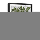 Peppers 5 - Fab Funky | Cuadro decorativo de Canvas Lab