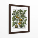 Peppers 5 - Fab Funky | Cuadro decorativo de Canvas Lab