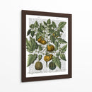Peppers 5 - Fab Funky | Cuadro decorativo de Canvas Lab