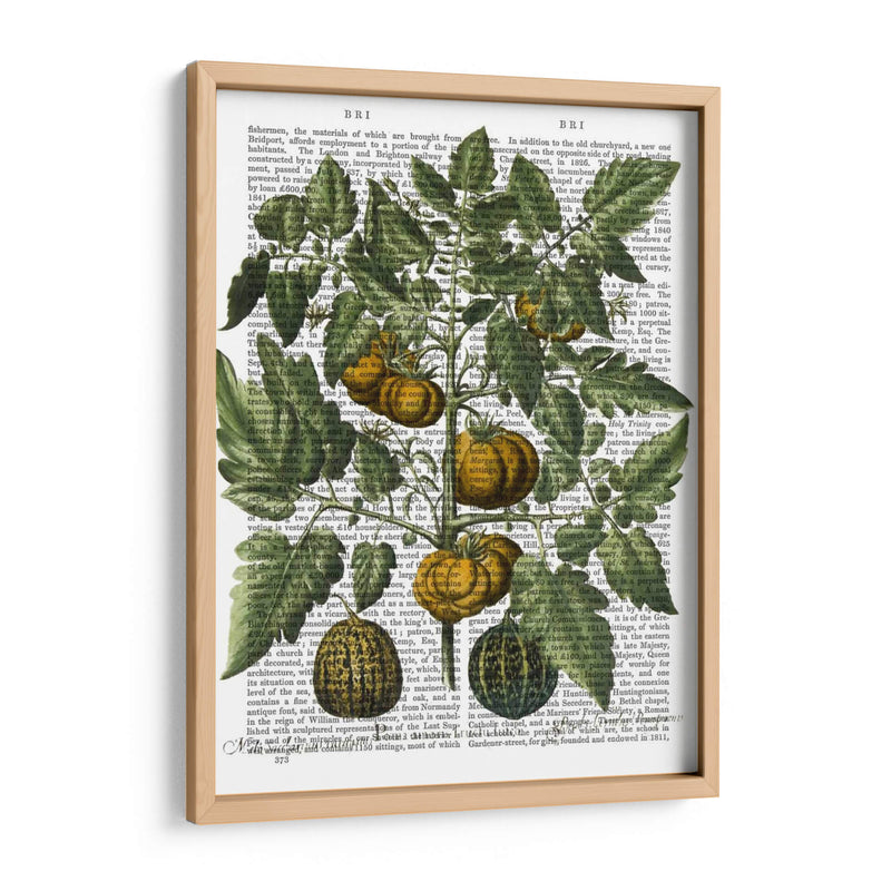 Peppers 5 - Fab Funky | Cuadro decorativo de Canvas Lab