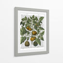 Peppers 5 - Fab Funky | Cuadro decorativo de Canvas Lab