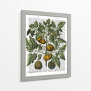 Peppers 5 - Fab Funky | Cuadro decorativo de Canvas Lab