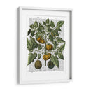 Peppers 5 - Fab Funky | Cuadro decorativo de Canvas Lab