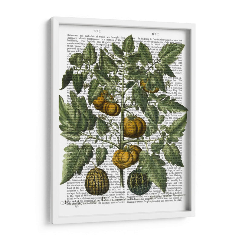 Peppers 5 - Fab Funky | Cuadro decorativo de Canvas Lab