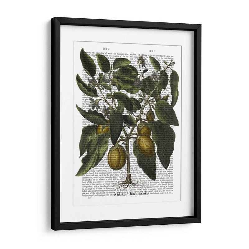 Peppers 6 - Fab Funky | Cuadro decorativo de Canvas Lab