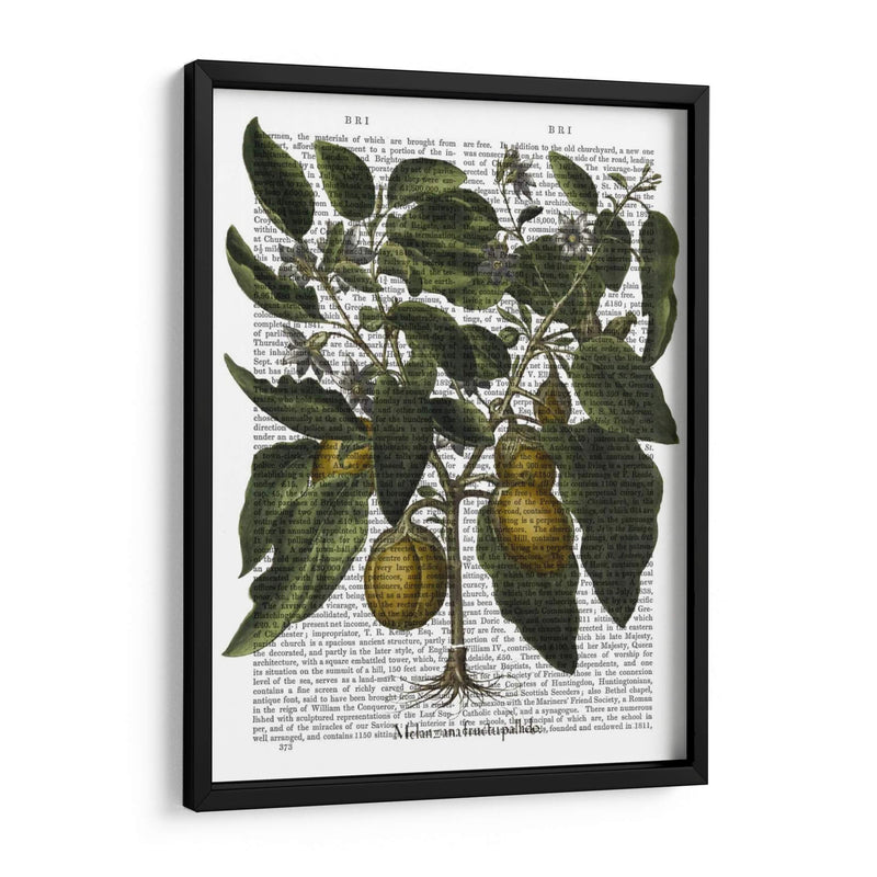 Peppers 6 - Fab Funky | Cuadro decorativo de Canvas Lab