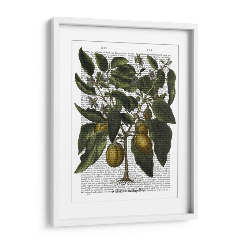 Peppers 6 - Fab Funky | Cuadro decorativo de Canvas Lab