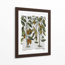 Peppers 7 - Fab Funky | Cuadro decorativo de Canvas Lab