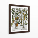 Peppers 7 - Fab Funky | Cuadro decorativo de Canvas Lab