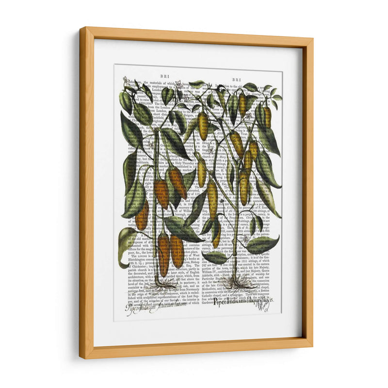 Peppers 7 - Fab Funky | Cuadro decorativo de Canvas Lab