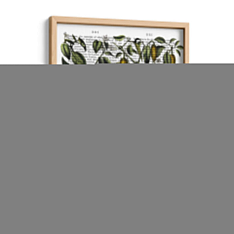 Peppers 7 - Fab Funky | Cuadro decorativo de Canvas Lab