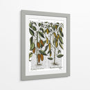 Peppers 7 - Fab Funky | Cuadro decorativo de Canvas Lab