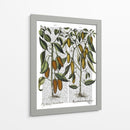 Peppers 7 - Fab Funky | Cuadro decorativo de Canvas Lab