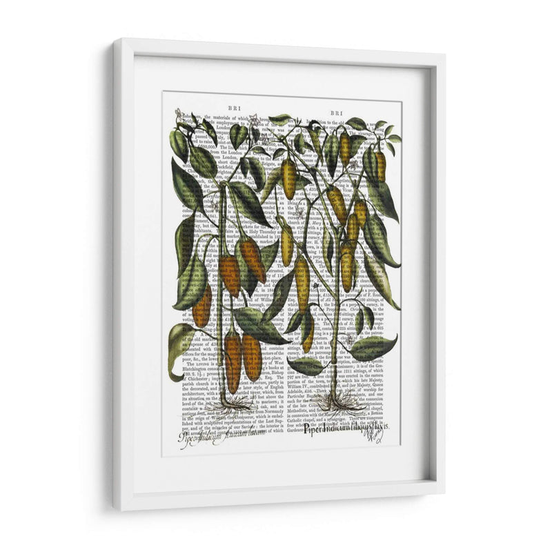 Peppers 7 - Fab Funky | Cuadro decorativo de Canvas Lab