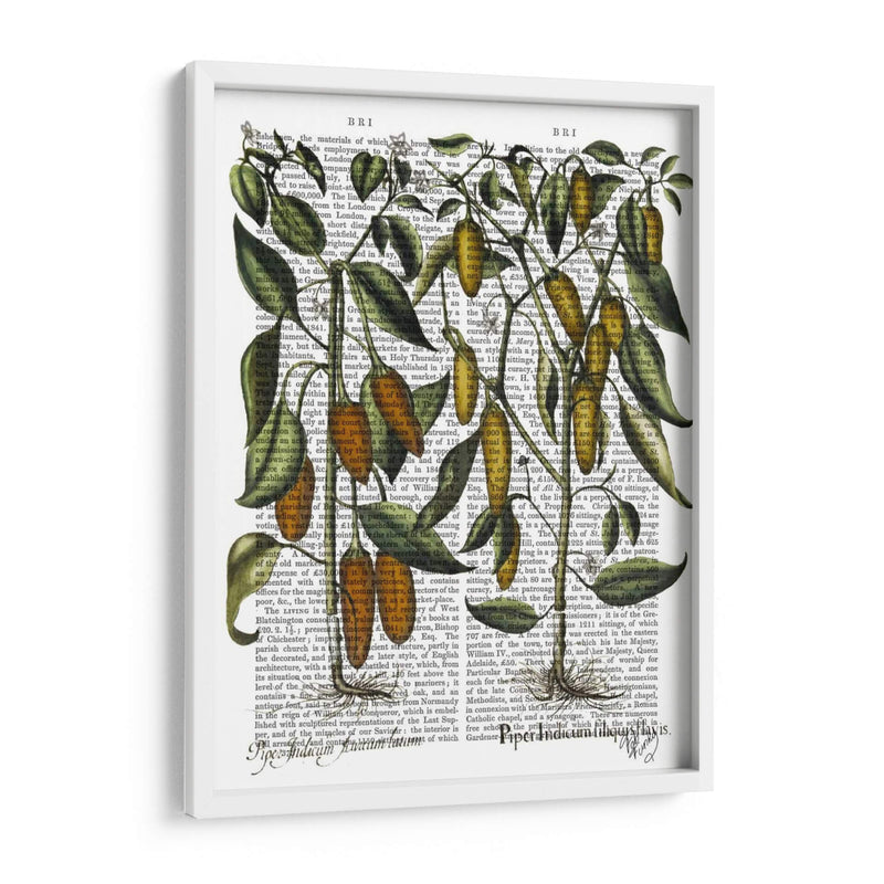 Peppers 7 - Fab Funky | Cuadro decorativo de Canvas Lab