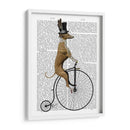 Greyhound En Bicicleta Negra De Penny Farthing - Fab Funky | Cuadro decorativo de Canvas Lab