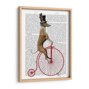 Greyhound En La Bicicleta Roja De Penny Farthing - Fab Funky | Cuadro decorativo de Canvas Lab