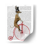 Greyhound En La Bicicleta Roja De Penny Farthing - Fab Funky | Cuadro decorativo de Canvas Lab