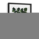 Parsnip 1 - Fab Funky | Cuadro decorativo de Canvas Lab