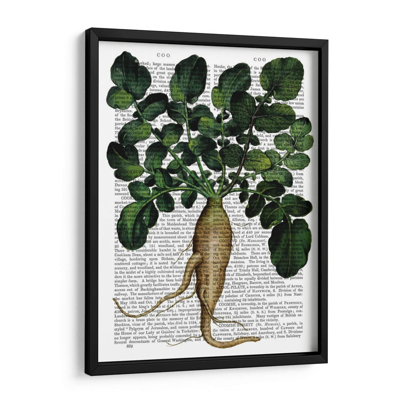 Parsnip 1 - Fab Funky | Cuadro decorativo de Canvas Lab