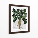 Parsnip 1 - Fab Funky | Cuadro decorativo de Canvas Lab