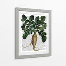 Parsnip 1 - Fab Funky | Cuadro decorativo de Canvas Lab