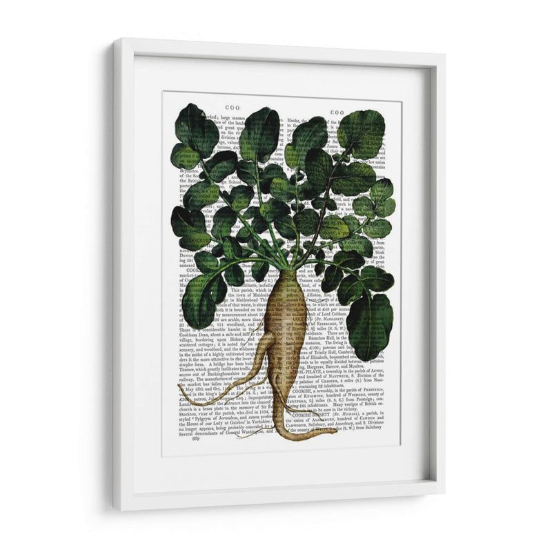 Parsnip 1 - Fab Funky | Cuadro decorativo de Canvas Lab