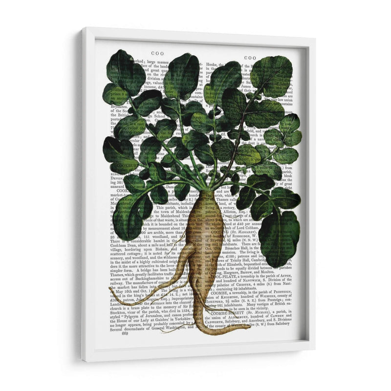 Parsnip 1 - Fab Funky | Cuadro decorativo de Canvas Lab