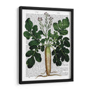 Parsnip 2 - Fab Funky | Cuadro decorativo de Canvas Lab