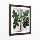 Parsnip 2 - Fab Funky | Cuadro decorativo de Canvas Lab